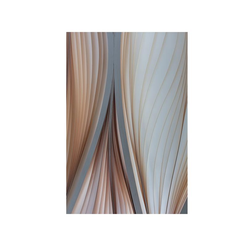 

Абстрактная геометрия Картина на холсте Современная мода Коричневые линии Настенная печать Декоративная картина Современный декор гостиной Без рамы 20x30cm