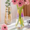 Minimalist Flower Vase Transparent Decorative Vase Aesthetic Floral Vase  Desktop Decoration