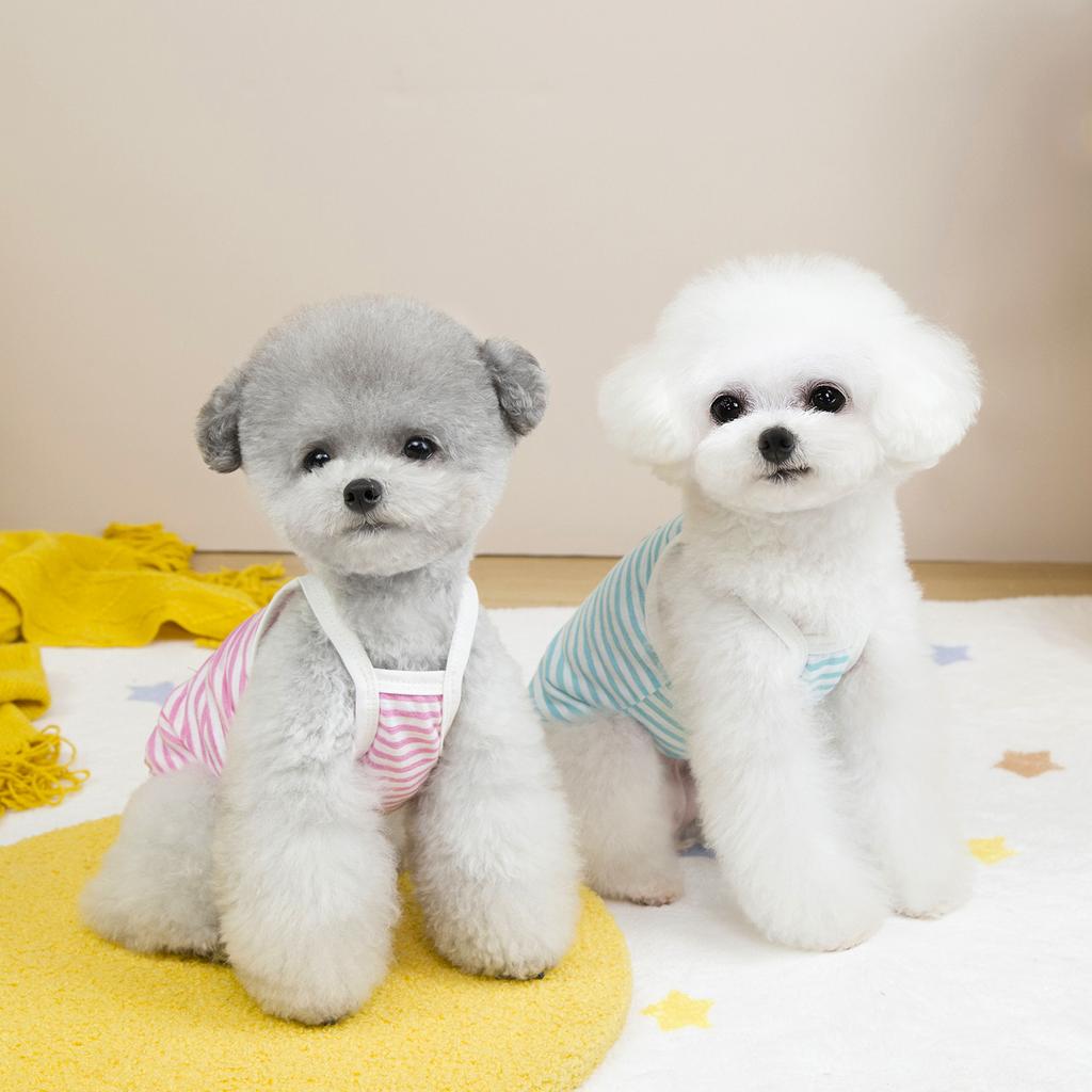 Dog Clothes Summer Thin Vest Suspender Small Dog Strap Traction Bigbear Teddy 11 Tulle Striped Suspender