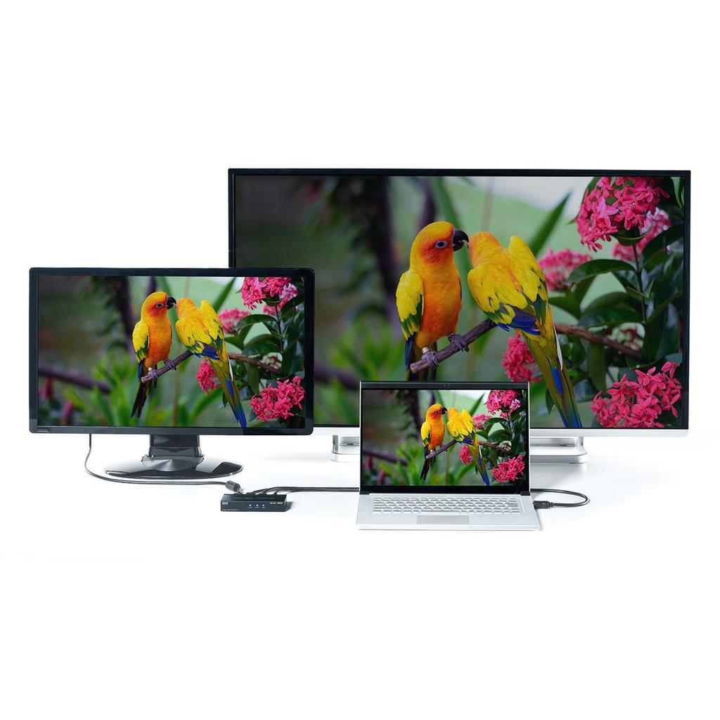 Sanwa Direct HDMI Splitter, 1 Input, 2 Outputs, Simultaneous Output, 4K/60Hz Support, HDCP 2.2 Compatible, 400-VGA013