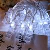 6M 40LEDS Light String Photo Clip Fairy Garland Light String Battery USB Powered Wedding Birthday Party Christmas Decoration 02