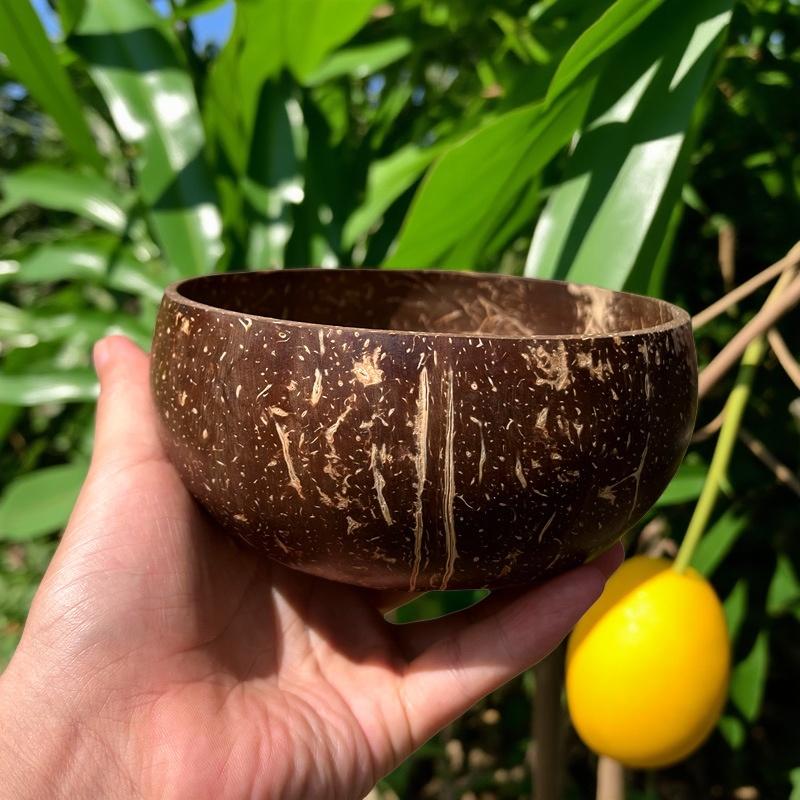 Wholesale Natural Coconut Bowls For Serving Dishes Salad Oatmeal Yogurt Reusable Wooden Coconut Shell Bowl Kitchen Tableware Set