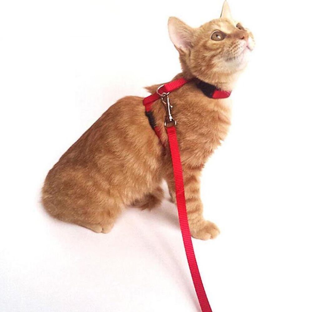 Rope Safety Cord Pet Traction Adjustable Cat Belt Kitten Collar Rope Nylon Harness Cat Pet Rope