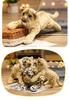 Plush Animal Toys: Tiger, Leopard, Golden Leopard, Lion Dolls for Home Decoration