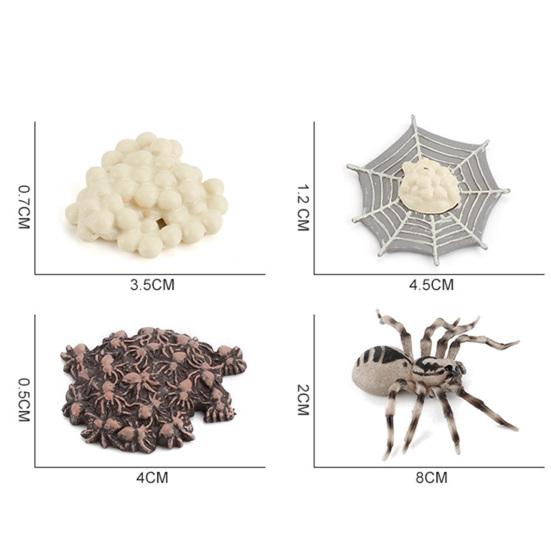4Pcs/5Pcs Frog Tarantula Butterfly Bee Animal Growth Observation Model Toys