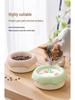 Ceramic Cat & Dog Anti-Tip Food Bowl With High-Leg Design