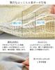 Imabari Towel Gauze Manufacturer Made In Perfect for Spring and and Thick Size Blanket, 6-Layer Gauze, Single/Semi-Double, Direct, 100% Cotton, Japan,
