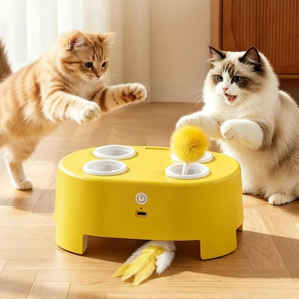 Interactive Cat Toy Motorized Electric Indoor for Kittens