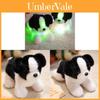 Leuchtendes Border Collie Plüschtier LED-Licht Kindergeschenk Für Kinder