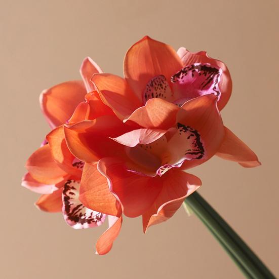 4 Bundles Artificial Phalaenopsis Flower Real Touch Large Fake Orchids Flowers Stem for Vase Home Wedding Party Decor
