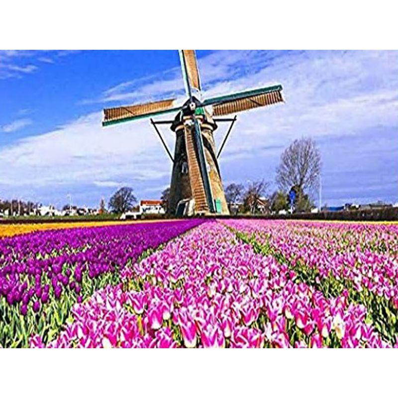 5D Diy Diamond Painting Windmill Rhinestone Kit Diamond Embroidery Lily Flowers Diamond Mosaic Handicraft Home Decor