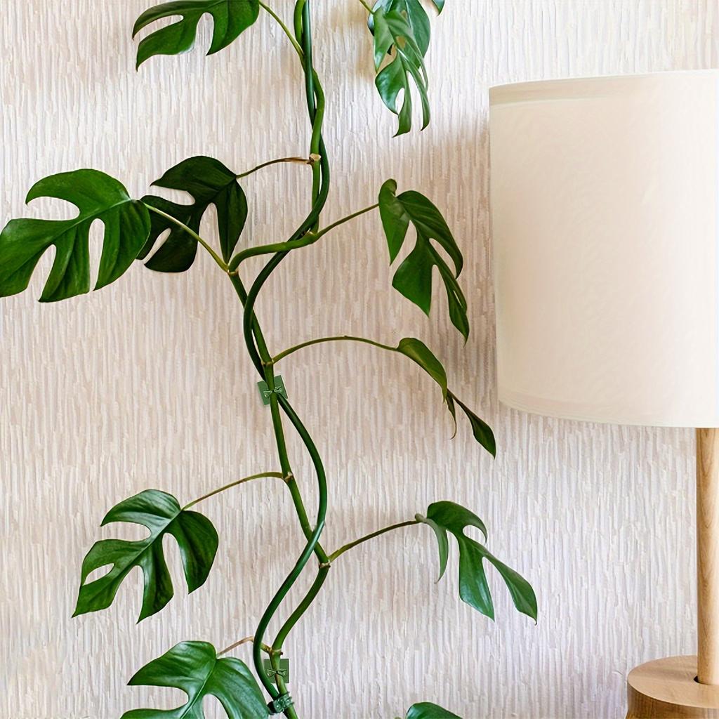 10/20pcs Self-Adhesive Plant Climbing Wall Clips for Vines, Indoor/Outdoor Decoration, Invisible Wire Fixing, Garden Wall Clip Support