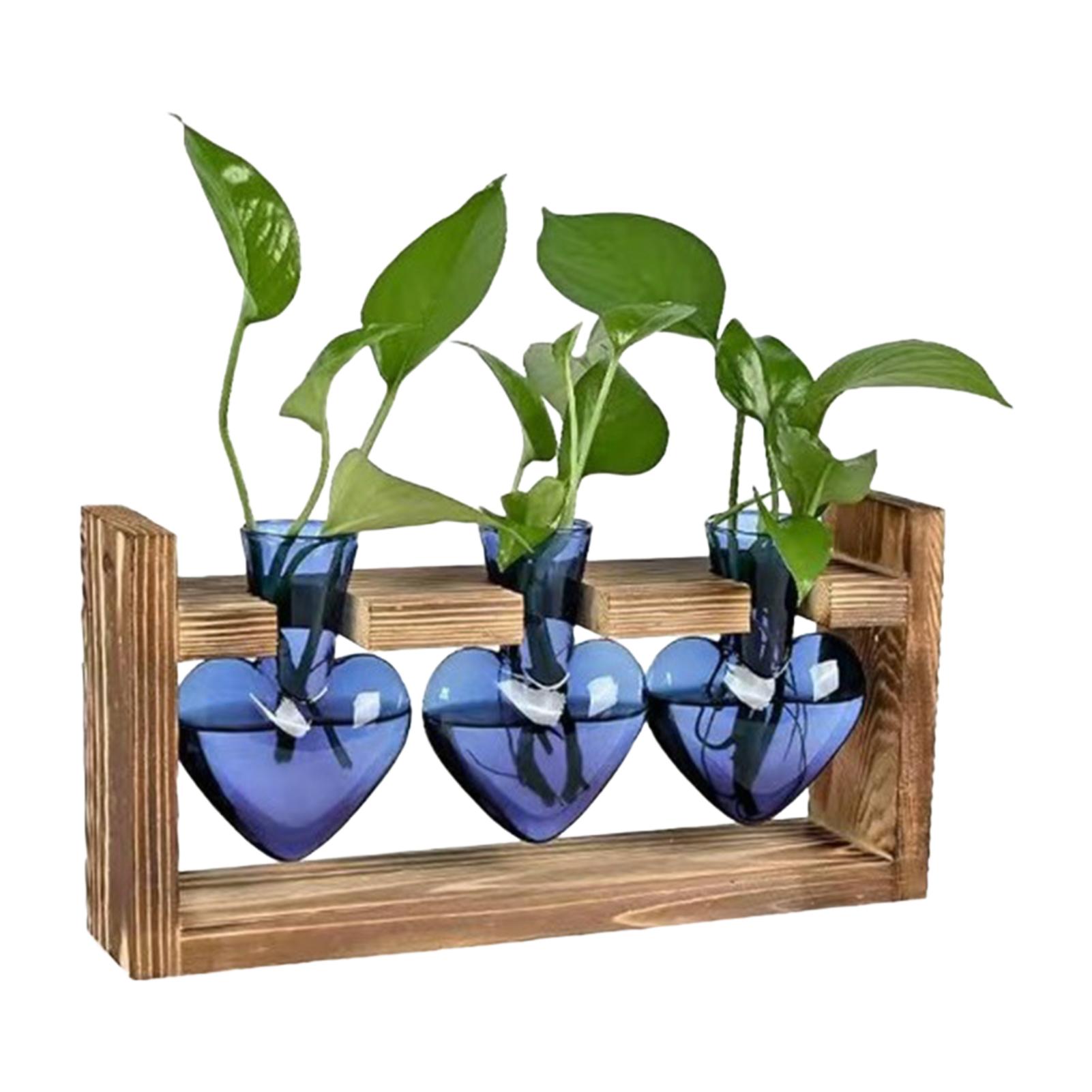 

1 шт. Гидропонный растительный террариум Вазы Настольный декор Цветочный горшок Контейнер для растений Настольный стеклянный плантатор для украшения дома и офиса синий
