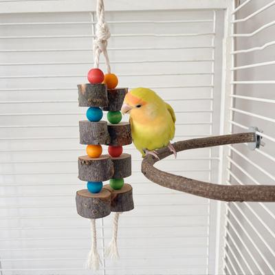 Jouet Perroquet Balançoire Corde Colorée Support Bois Naturel Oiseaux Perroquet Jouets Colorés Mâcher Mordre Suspendu Cage Balles Deux Cordes