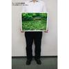 500 Piece Jigsaw Puzzle Dancing Color Monet's Pond (Gifu Prefecture) (38x53cm)