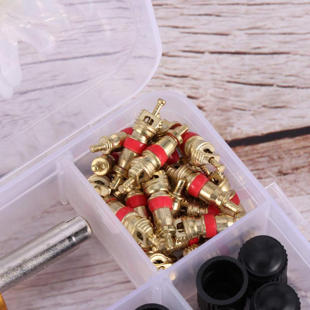 VORCOOL Tire Valve Core, Air Valve, Insect Turner, Tire Repair Tool, 61-Piece Set, Valve, Motorcycle, Bicycle, Tire Tool, Repair