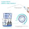 Electric Oral Irrigator with 5 nozzles Water Flosser for Teeth Mouth Washing Machine 800ML Water Tank Teeth Cleaner 10 levels