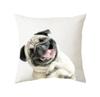 45x45cm Cute Cat Cushion Cover Polyester Throw Pillow For Bed Living Room Sofa Office Seat Car Kids  Decor Home
