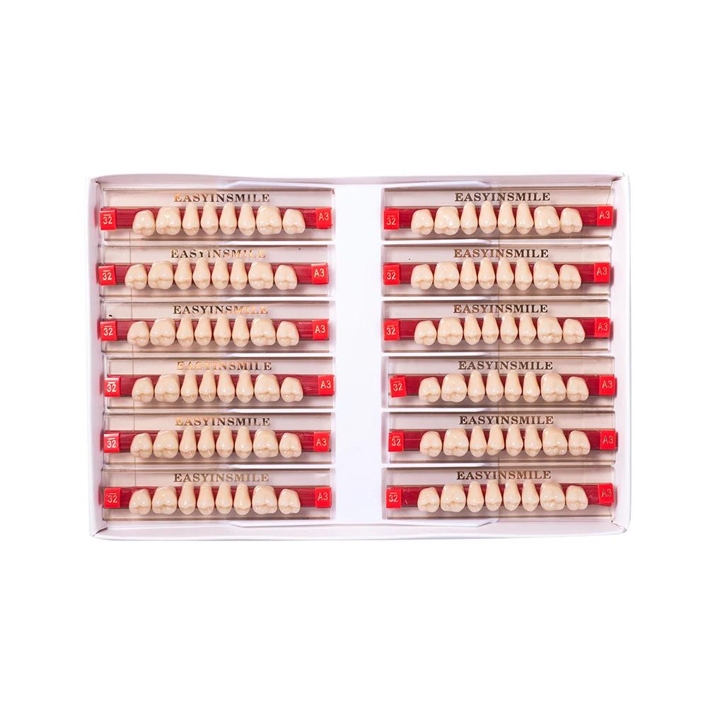 16/12 Sätze/Karton Zahnprothese Zähne Oberkiefer Frontzähne Unterkiefer Seitenzähne Dentier Synthetisches Polymerzähne Zahnmedizinische Ausbildungsmodell