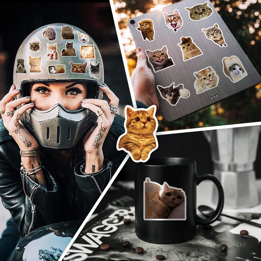 50PCS Realistic Cat Stickers, Cute Dumbfounded Expression Decals for Water Bottle, Notebook & Journal