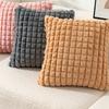 New Year Plushie Pillowcase Comfortable Easy Washing Cushion Cover for Sofa and Bed Decoration