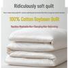 50% Protein-Enhanced Polyvinyl Alcohol Soybean Quilt, A-Class All-Cotton Exterior, Pure Cotton Filling, Ideal for Students In Winter
