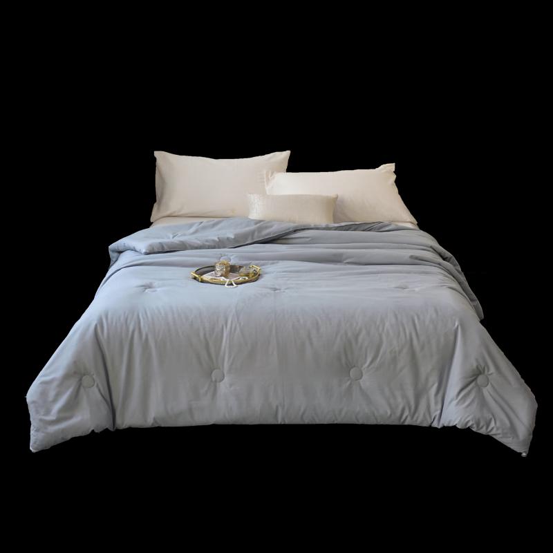 Lan Ruo Ting All-Season Polyester Duvet Insert