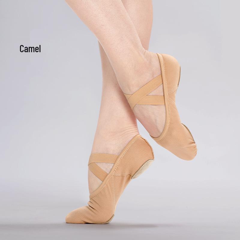 Professionelle rutschfeste Ballett-Übungsschuhe für Damen - Weiche Sohle Tanzschuhe für Erwachsene 34 kamelfarben
