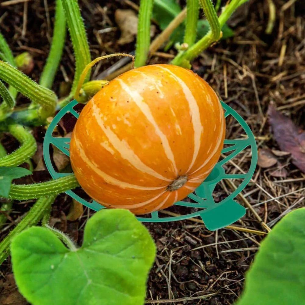 1pc Anti-Rotting Watermelon Stand Gardening Stand Vegetables Gardening Stand  Pumpkin Watermelon