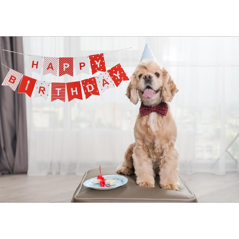 Red White Birthday Banner Happy Birthday Party Decorations