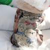 Dog Clothes Four-legged Cotton Coat Teddy Bichon Schnauzer Winter Warm Small Puppy Pomeranian VIP Autumn And Winter Clothing