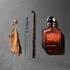 Giorgio Armani Stronger With You Absolutely Eau De Parfum 50ml