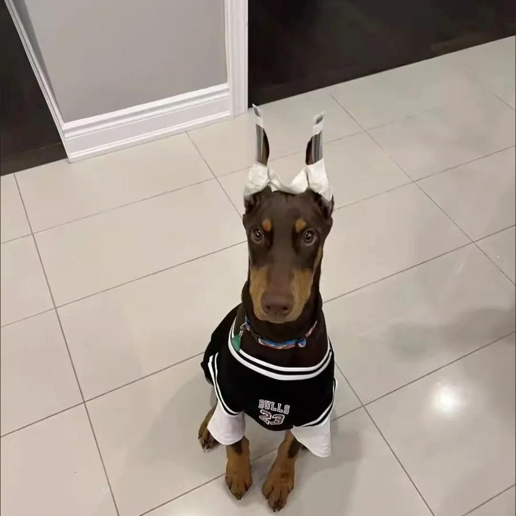 Dog Clothes Large Dog Thin Golden Retriever Labrador Doberman Fake Two-piece Ball Clothing Large Dog Clothes Summer Clothes