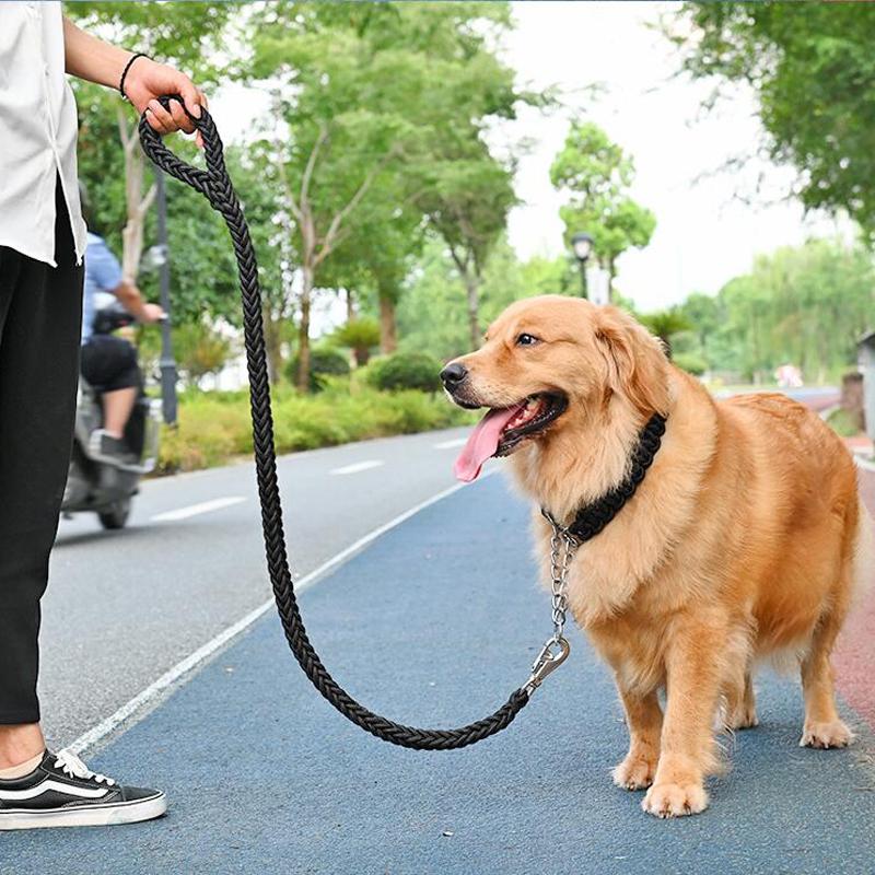 Strapazierfähiges Hundehalsband-Leine-Set, verstellbares Gehorsams-P-Kettenhalsband, Nylon-Hundeleine, Führleine für mittelgroße und große Hunde