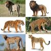 TOYMANY 8-Piece Wild Animal Figure Set, Wild Animal Family with Lion, Tiger, Jaguar, and Cheetah Baby, Realistic Animal Models, Popular Animal Toys,