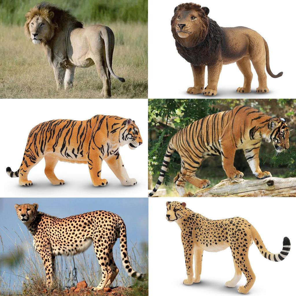 TOYMANY 8-Piece Wild Animal Figure Set, Wild Animal Family with Lion, Tiger, Jaguar, and Cheetah Baby, Realistic Animal Models, Popular Animal Toys,