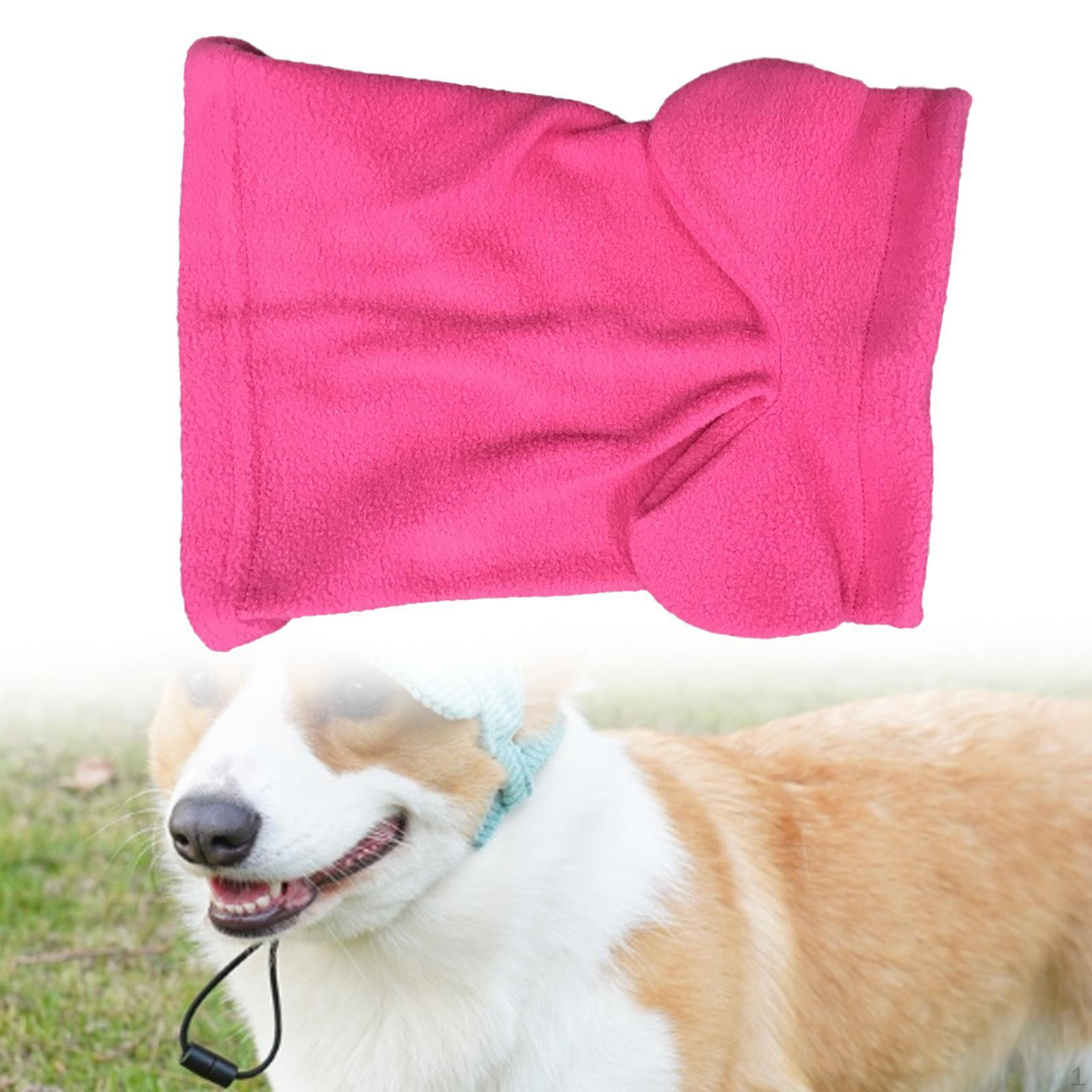 

Protection Hat for Winter Activities Small Pet Headgear M