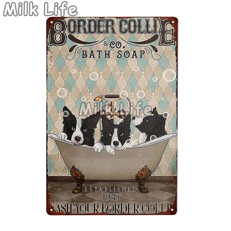 Metal Tin Sign Vintage Funny Border Collie Dog for Coffee Bathroom Toilet Pet Shop Home Sweet Home Sign Bedroom Art Wall Decor