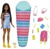 Barbie Doll Camping Barbie Brooklyn Doll + Accessories