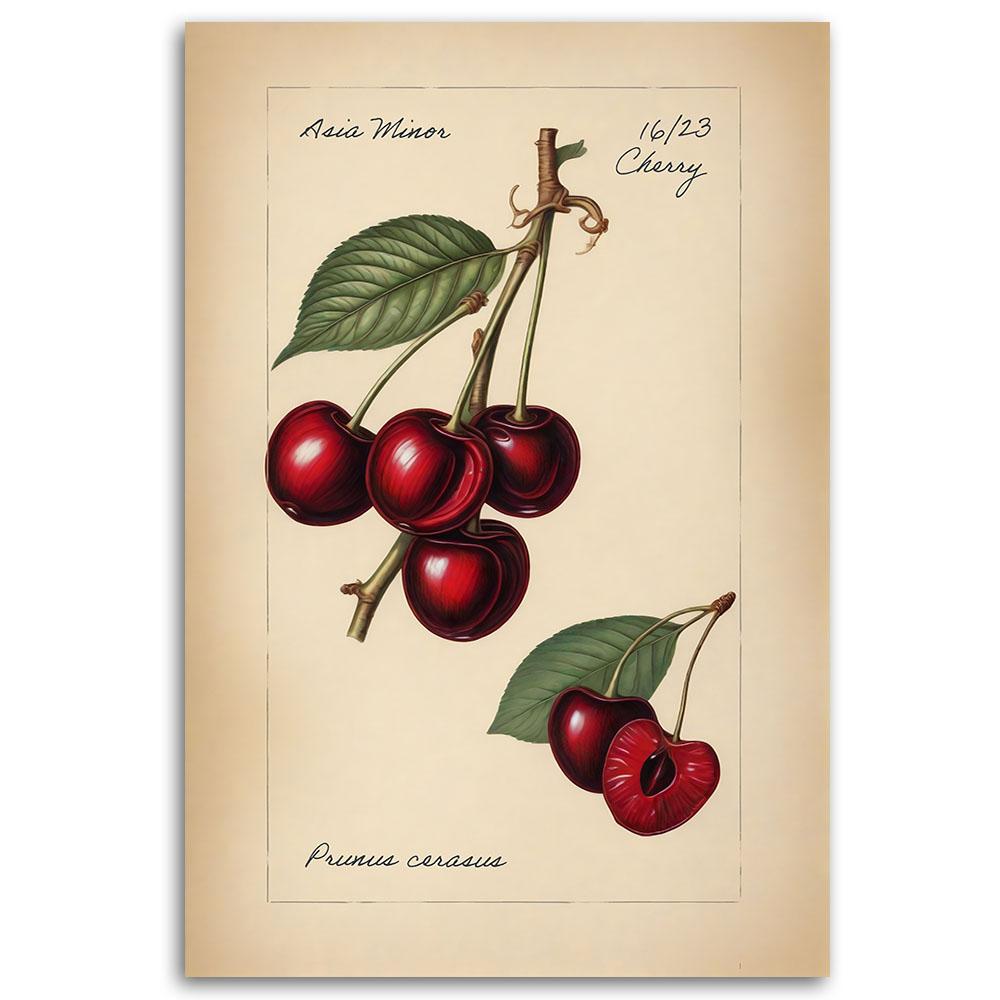 Canvas print, Vintage Fruit Cherry