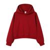 Veste Cardigan à Capuche Fermeture Éclair Poids Lourd Style Coréen Tendance pour Femmes - Sweatshirt Décontracté Automne 350g.