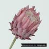 Nordic King Protea Single Stem Faux Flower Bouquet for Living Room or Wedding Decor
