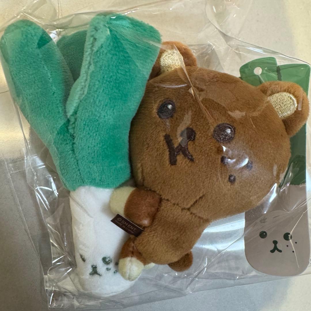 [USED] NCT DREAM MAGNET MINI DOLL Haechan