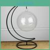 Metal Hanging Stand Terrarium Plant Tabletop Display Stand Decoration Holder