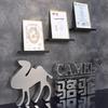 Camel Industrial Exhaust Ventilation Fan CN plug (adapter included)
