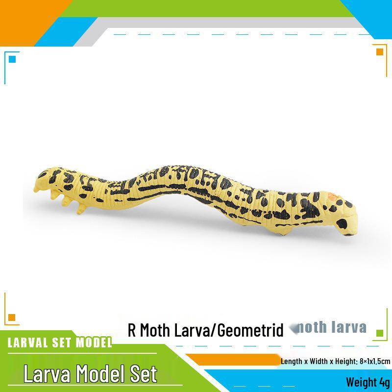 Gold Swallowtail, Geometer Moth, and Beetle Larva Toys - Cross-Border Science & Education Models for Children