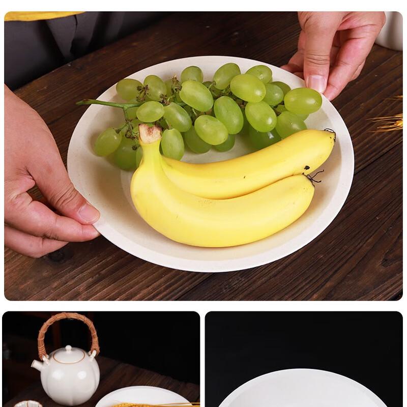 Disposable Round Plates for Parties and Home Use