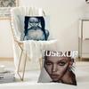 British singer F-FKA T-Twigs E-EUSEXUA  Pillow Case Office Cushions Suitable For Sofa Car Bedroom Decorative Cushion Cover