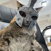 Divertido Casco de Gato Estilo Guerrero Romano Accesorios para la Cabeza de Mascotas Suministro para Mascotas Cosplay de Mascotas Accesorios para Fotos Ligero Duradero Impresión 3D Casco Seguro para Mascotas
