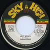 7inch Record NINJA FORD  Hot Stuff NONE Sky High 1992 Jamaica Reggae Ska  Dub Used